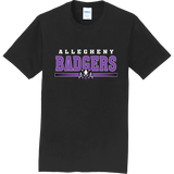 Lady Badgers Adult Fan Favorite Tee